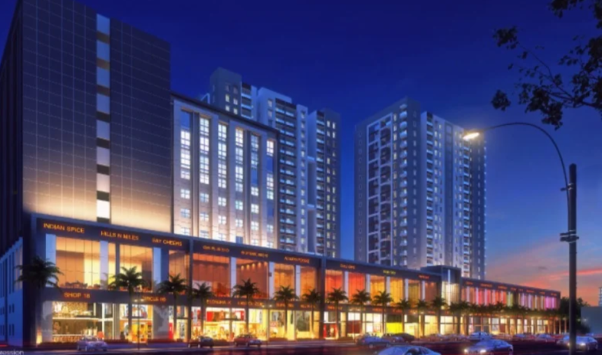 1 BHK Flats at Hinjewadi